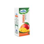 MANGO JUICE - CANDIA
