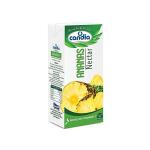PINEAPPLE JUICE - CANDIA