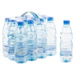 SAMLL WATER - TANNOURINE